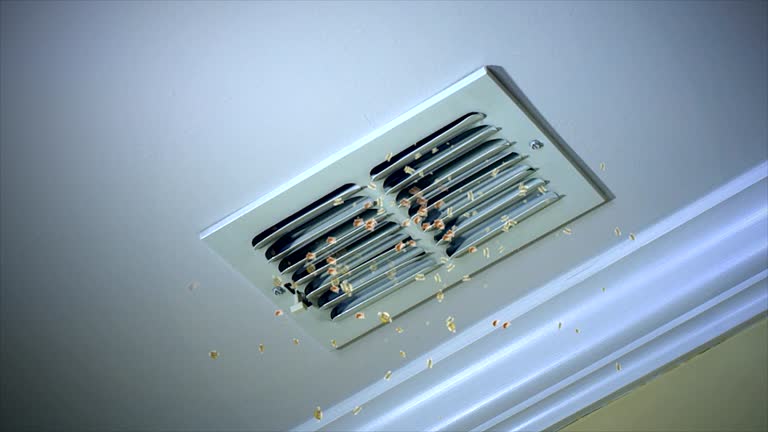 Best Best Air Duct Cleaning Company  in Bowling Green, MO